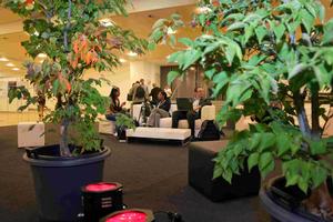 IMG_9486_DxO-lr.jpg