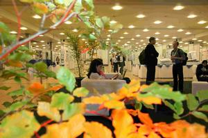 IMG_9487_DxO-lr.jpg